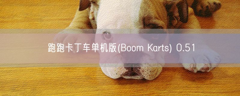 跑跑卡丁车单机版(Boom Karts) 0.51